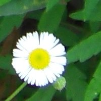 お問合せ